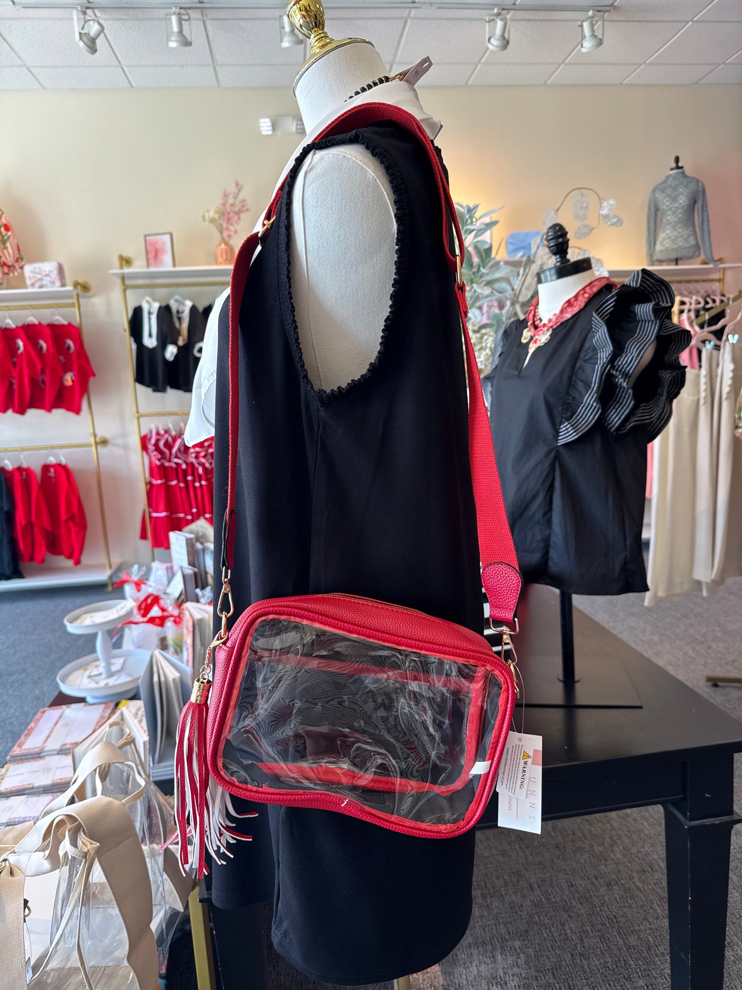 Red Clear Purse with Tassel