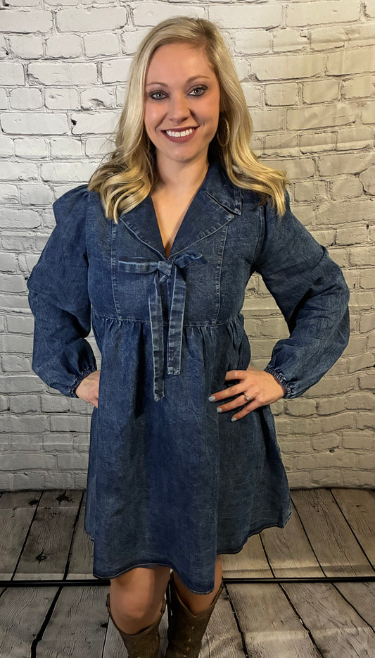 Denim Collared Dress