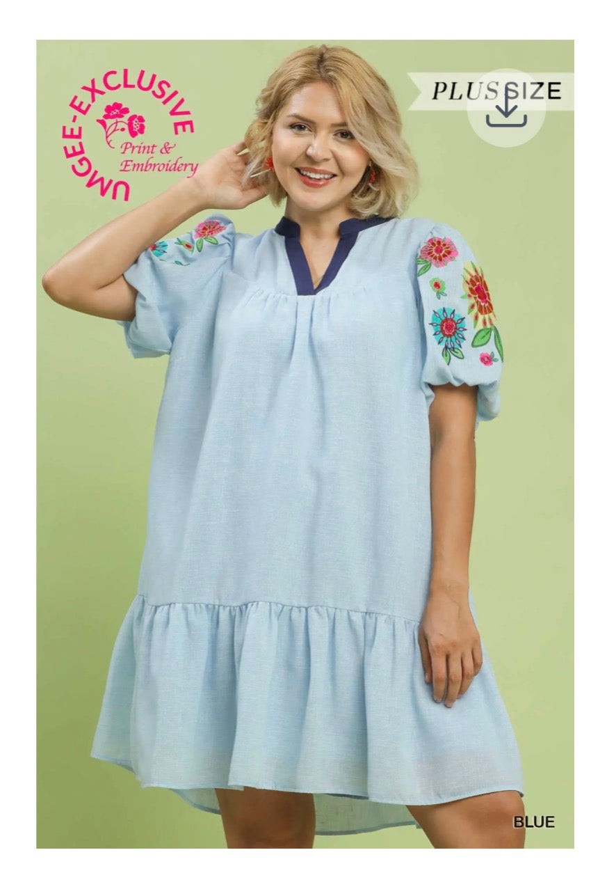 Blue Embroidered Puff Sleeve Mini Dress