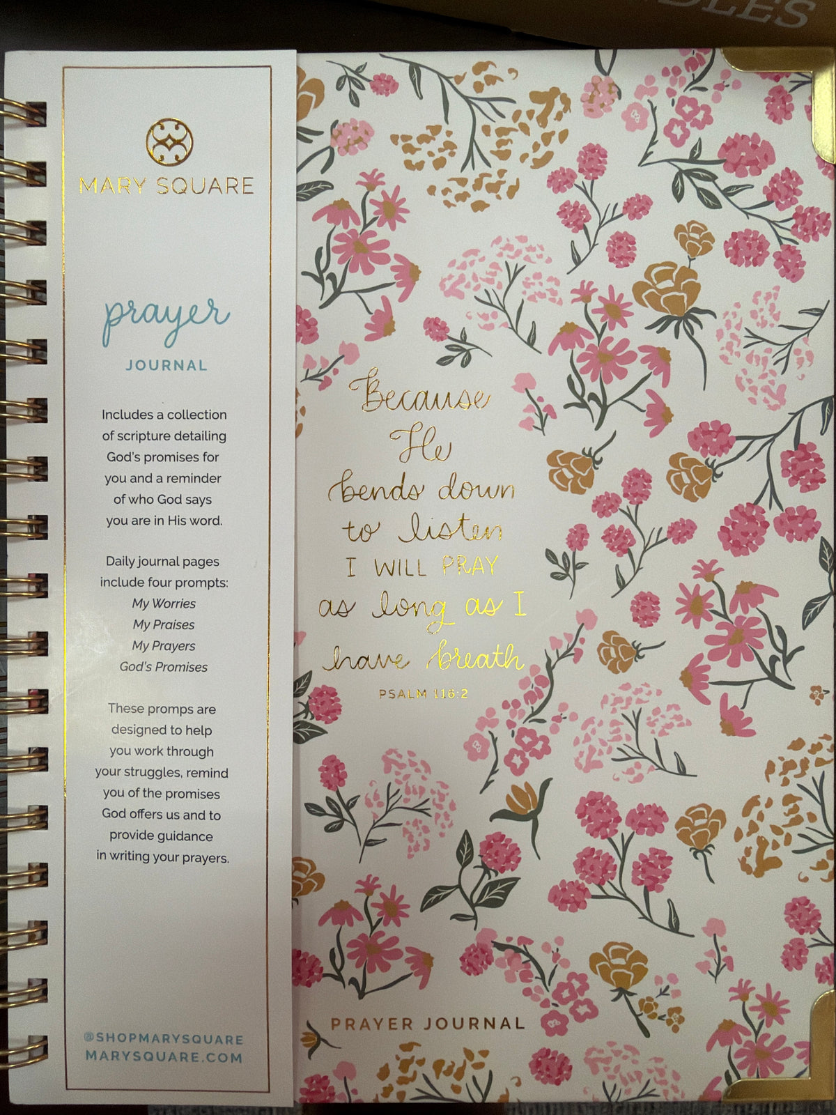 Mary Square prayer journal